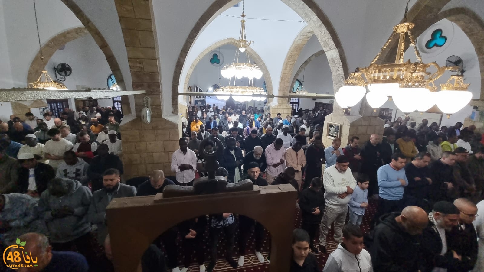 WhatsApp Image 2024-04-10 at 6.58.35 AM (1).jpeg